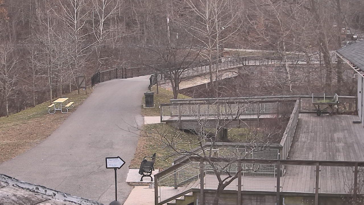 Thumbnail for current weather camera view from Lake Roland Nature Council in Baltimore, Maryland