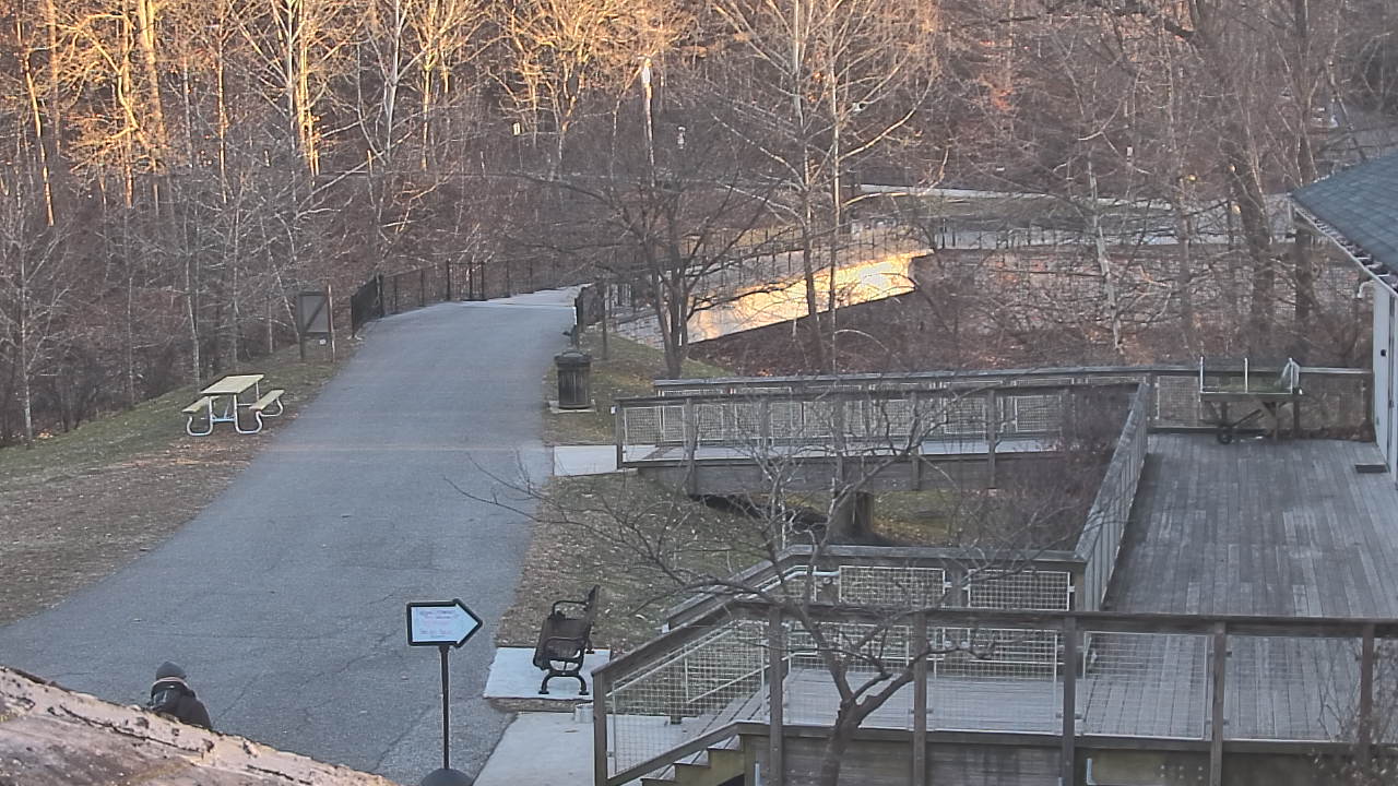 Thumbnail for current weather camera view from Lake Roland Nature Council in Baltimore, Maryland