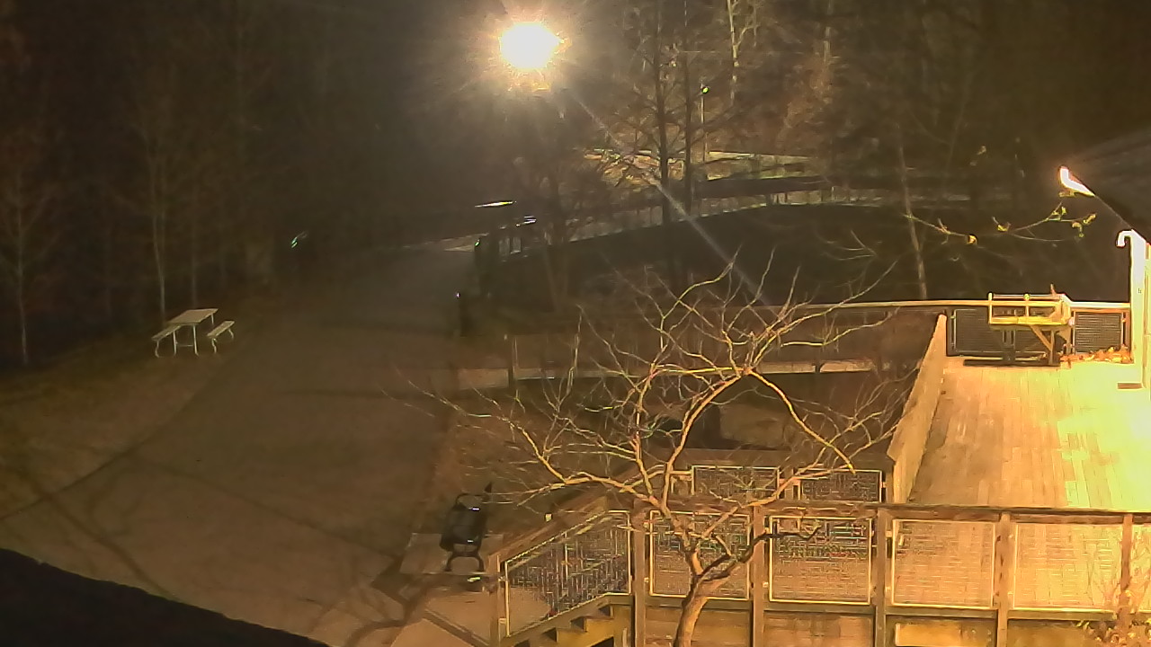 Thumbnail for current weather camera view from Lake Roland Nature Council in Baltimore, Maryland