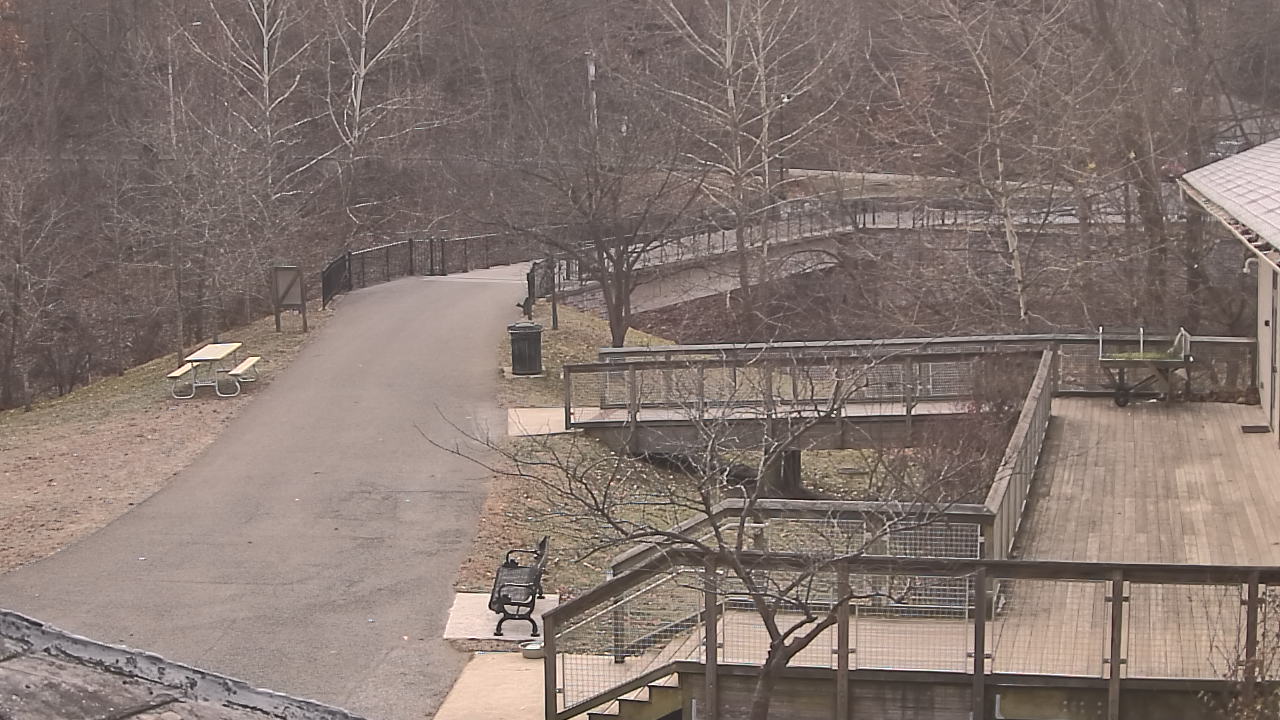 Thumbnail for current weather camera view from Lake Roland Nature Council in Baltimore, Maryland