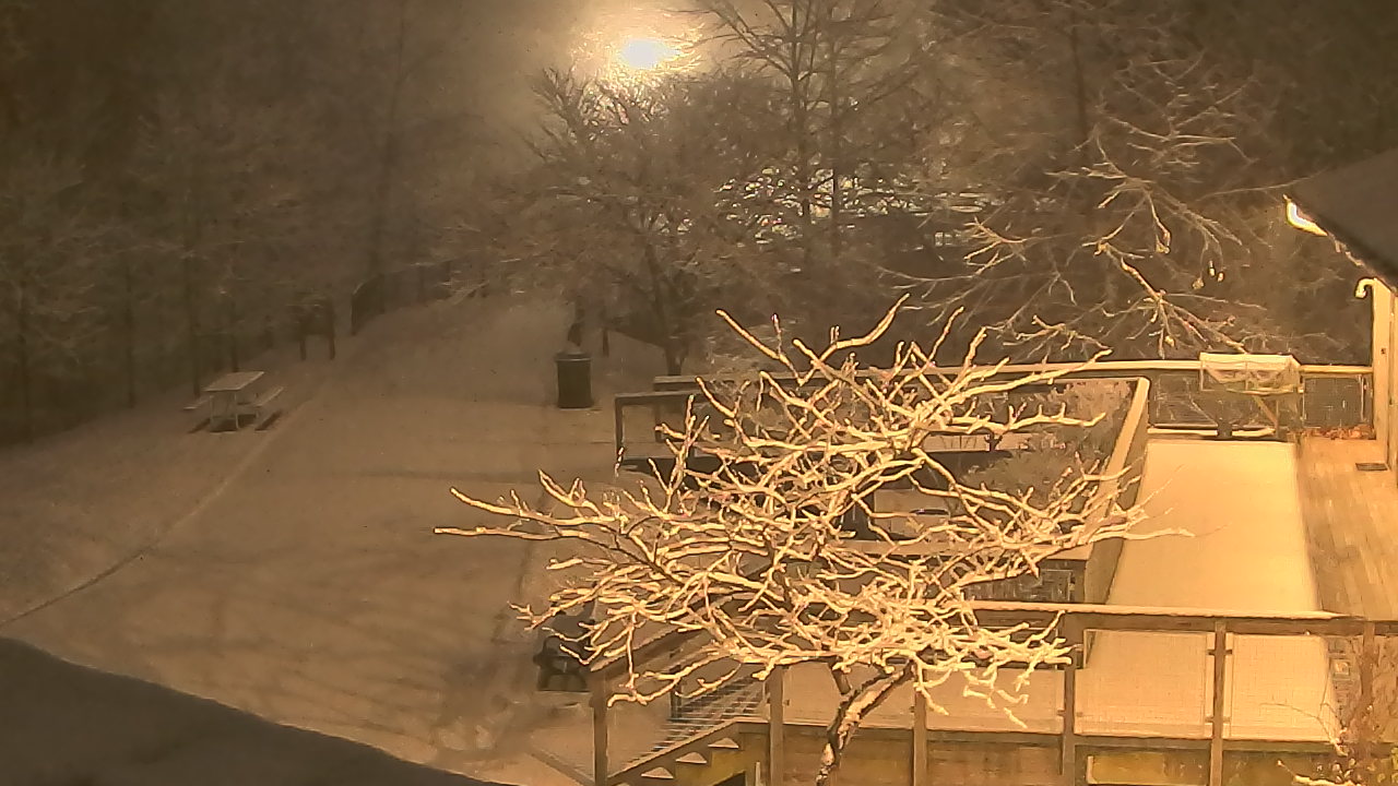 Thumbnail for current weather camera view from Lake Roland Nature Council in Baltimore, Maryland