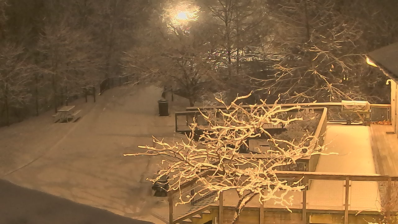 Thumbnail for current weather camera view from Lake Roland Nature Council in Baltimore, Maryland