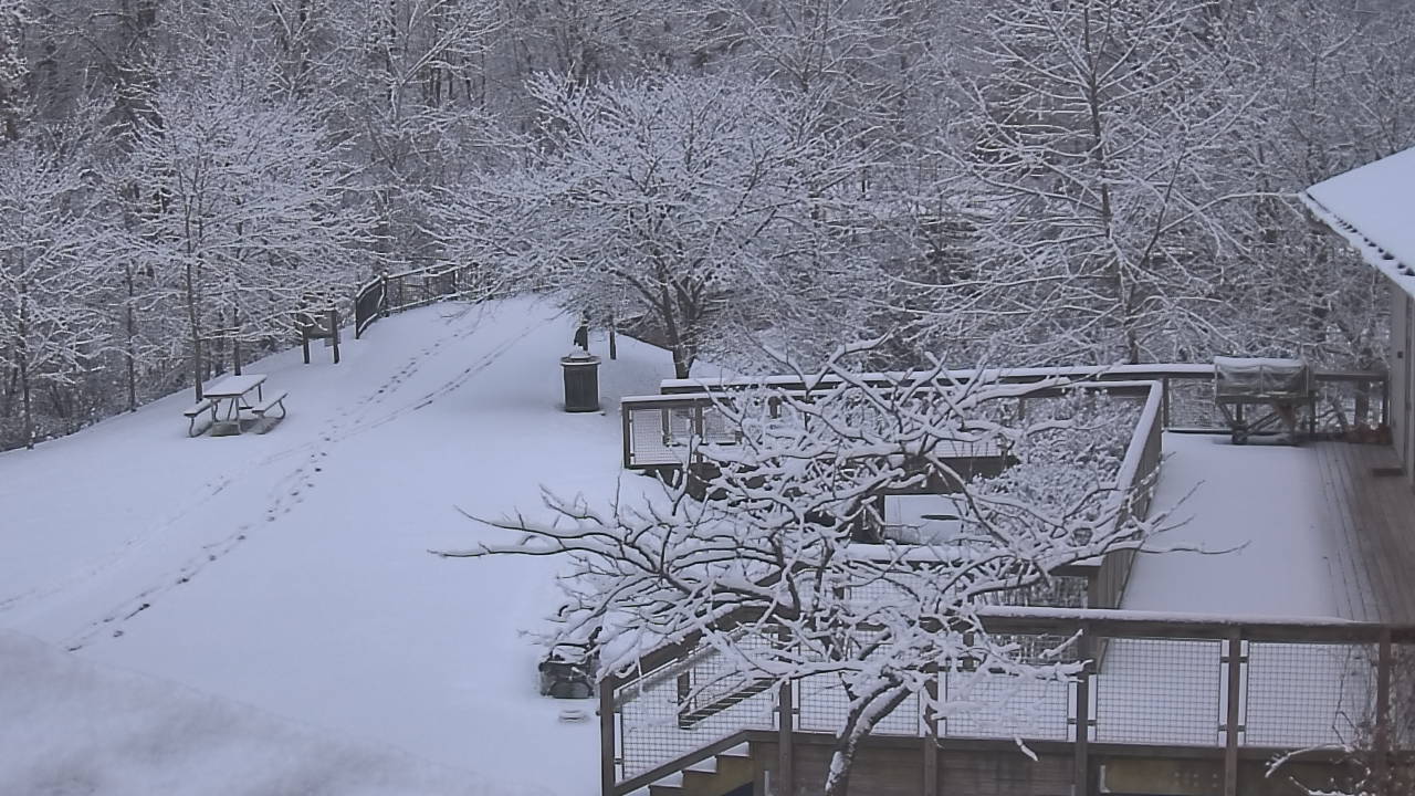 Thumbnail for current weather camera view from Lake Roland Nature Council in Baltimore, Maryland