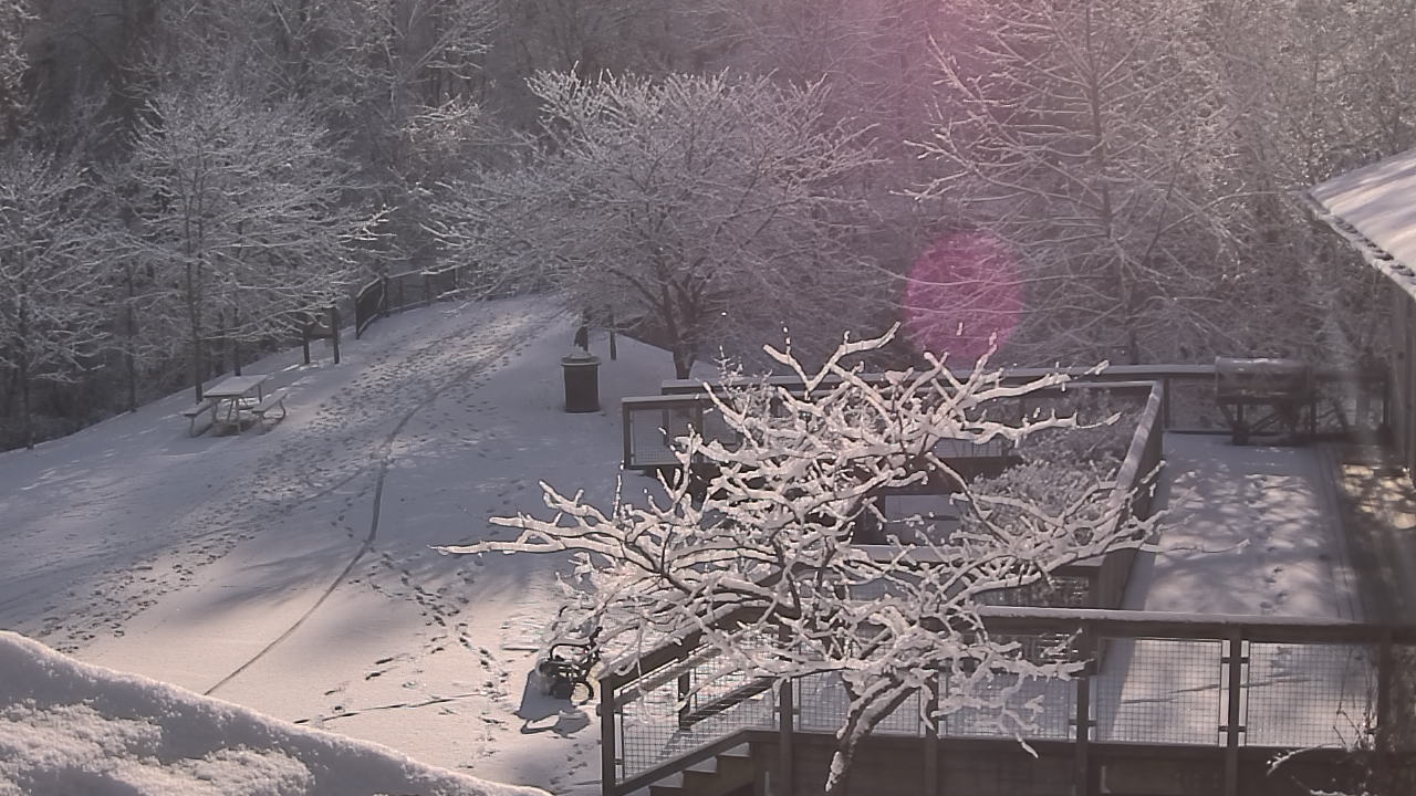 Thumbnail for current weather camera view from Lake Roland Nature Council in Baltimore, Maryland