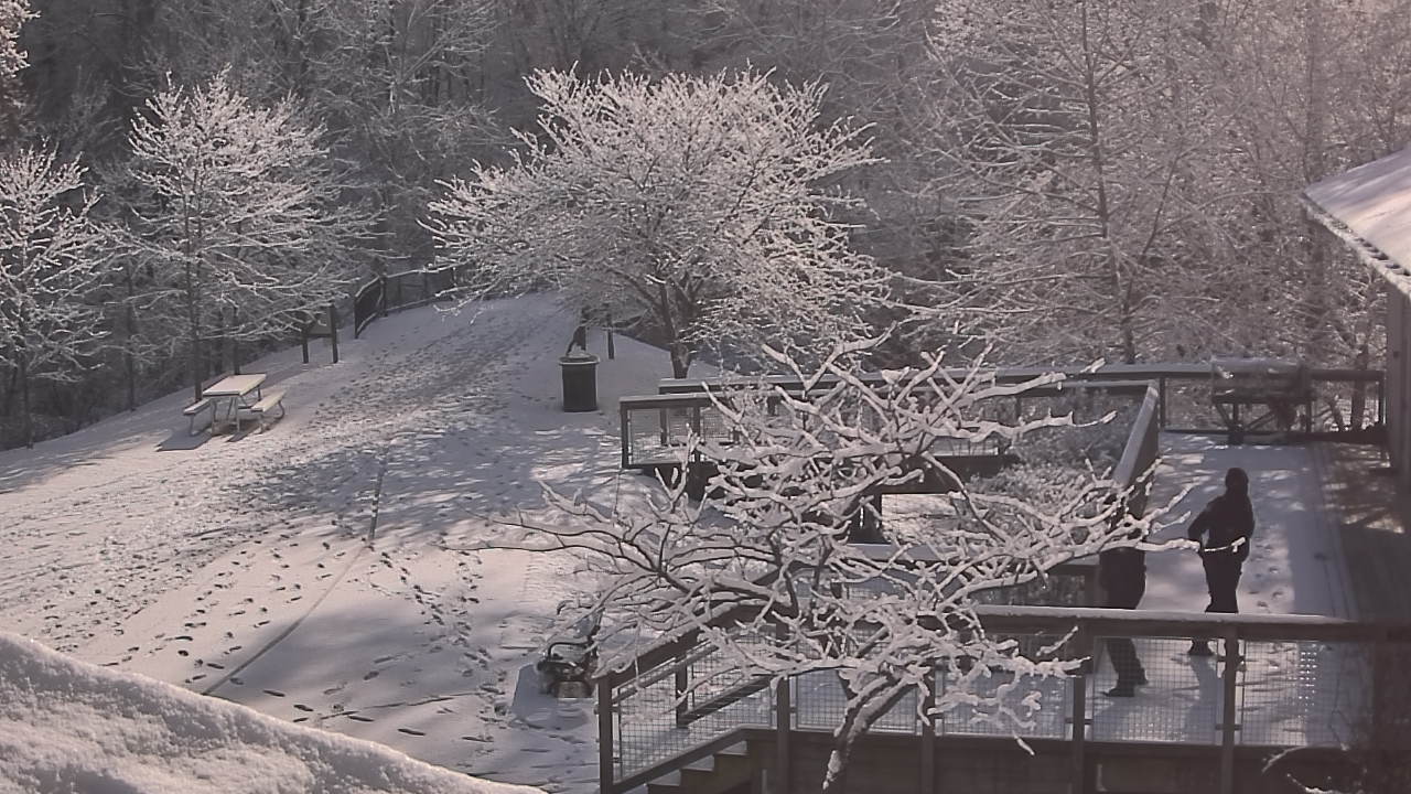 Thumbnail for current weather camera view from Lake Roland Nature Council in Baltimore, Maryland