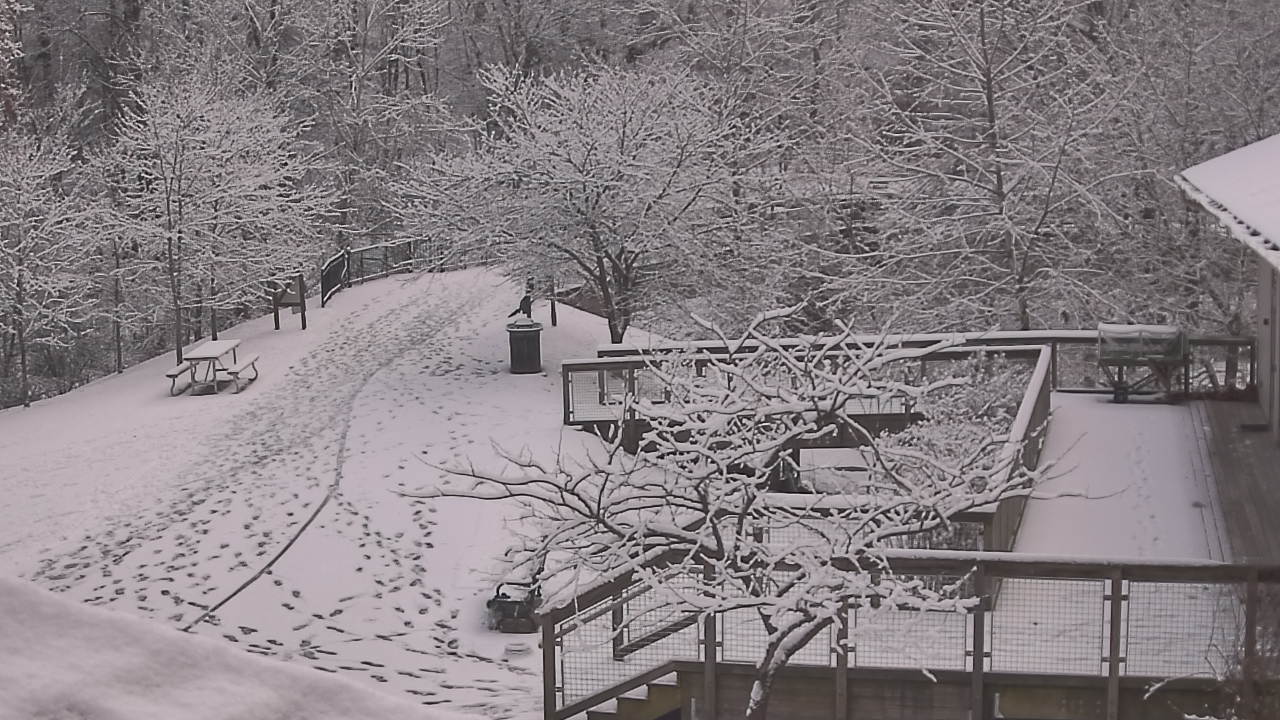 Thumbnail for current weather camera view from Lake Roland Nature Council in Baltimore, Maryland