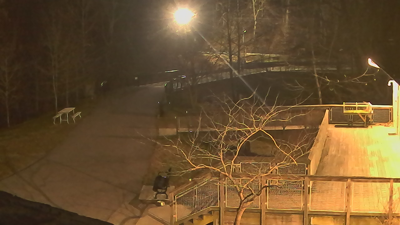 Thumbnail for current weather camera view from Lake Roland Nature Council in Baltimore, Maryland