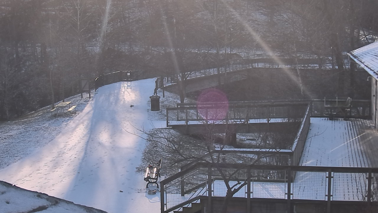 Thumbnail for current weather camera view from Lake Roland Nature Council in Baltimore, Maryland