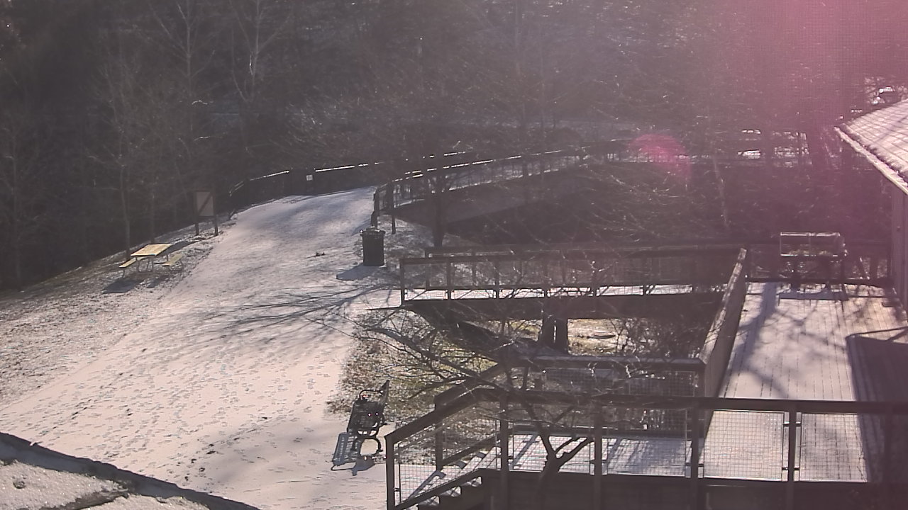 Thumbnail for current weather camera view from Lake Roland Nature Council in Baltimore, Maryland