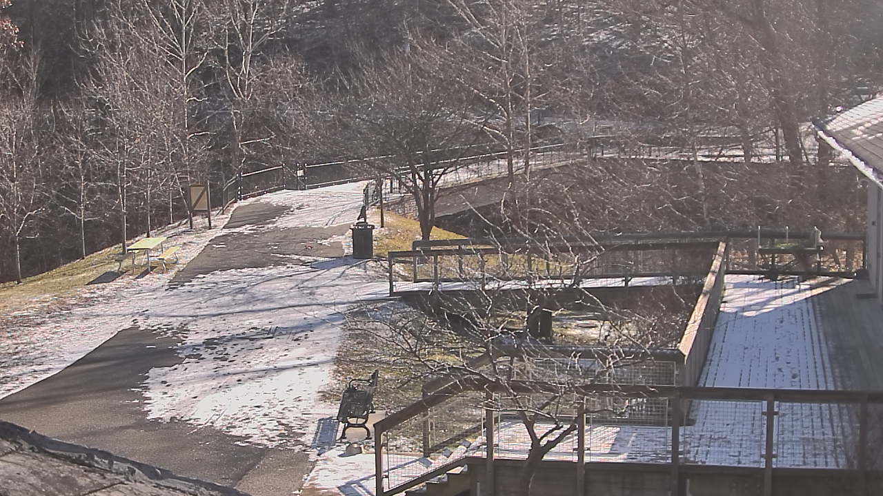 Thumbnail for current weather camera view from Lake Roland Nature Council in Baltimore, Maryland