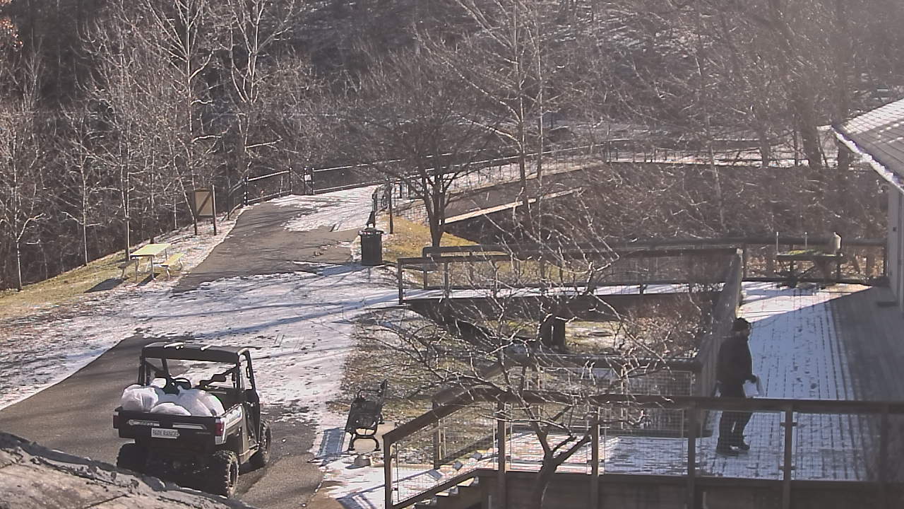 Thumbnail for current weather camera view from Lake Roland Nature Council in Baltimore, Maryland