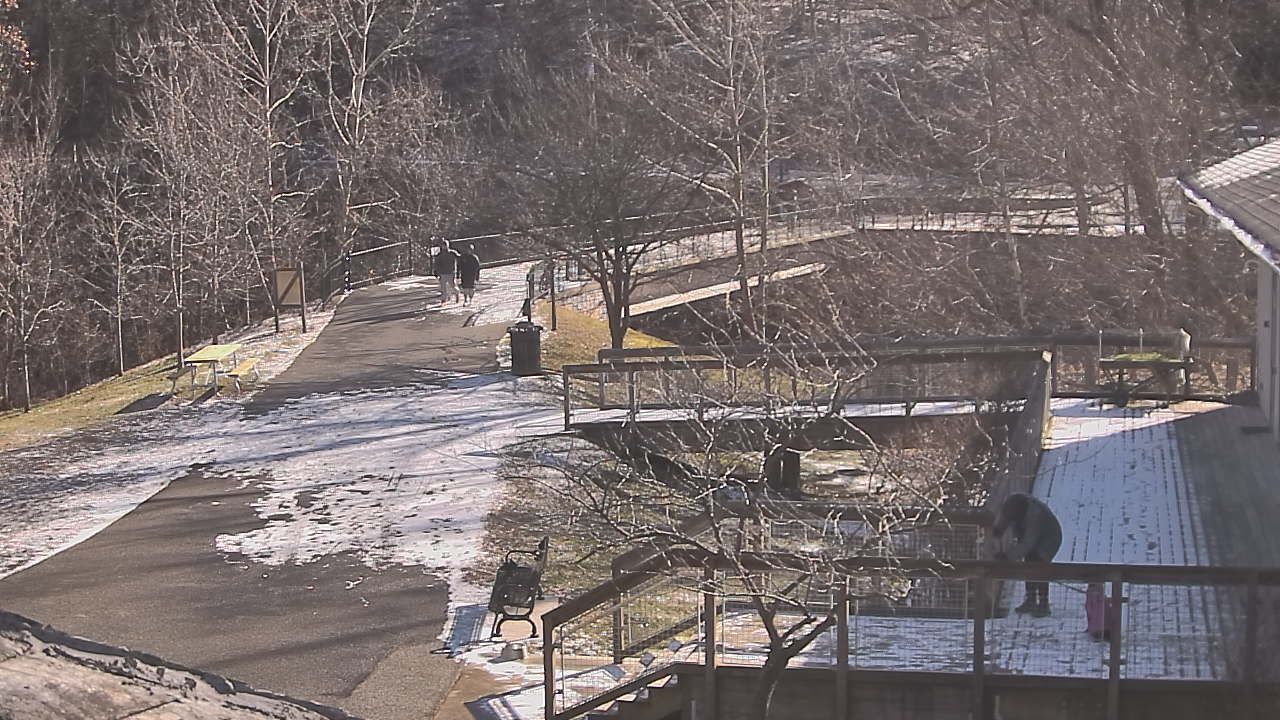 Thumbnail for current weather camera view from Lake Roland Nature Council in Baltimore, Maryland