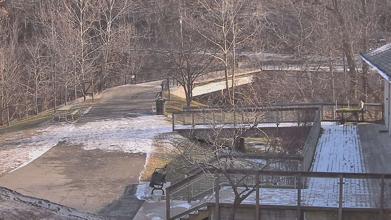 Thumbnail for current weather camera view from Lake Roland Nature Council in Baltimore, Maryland