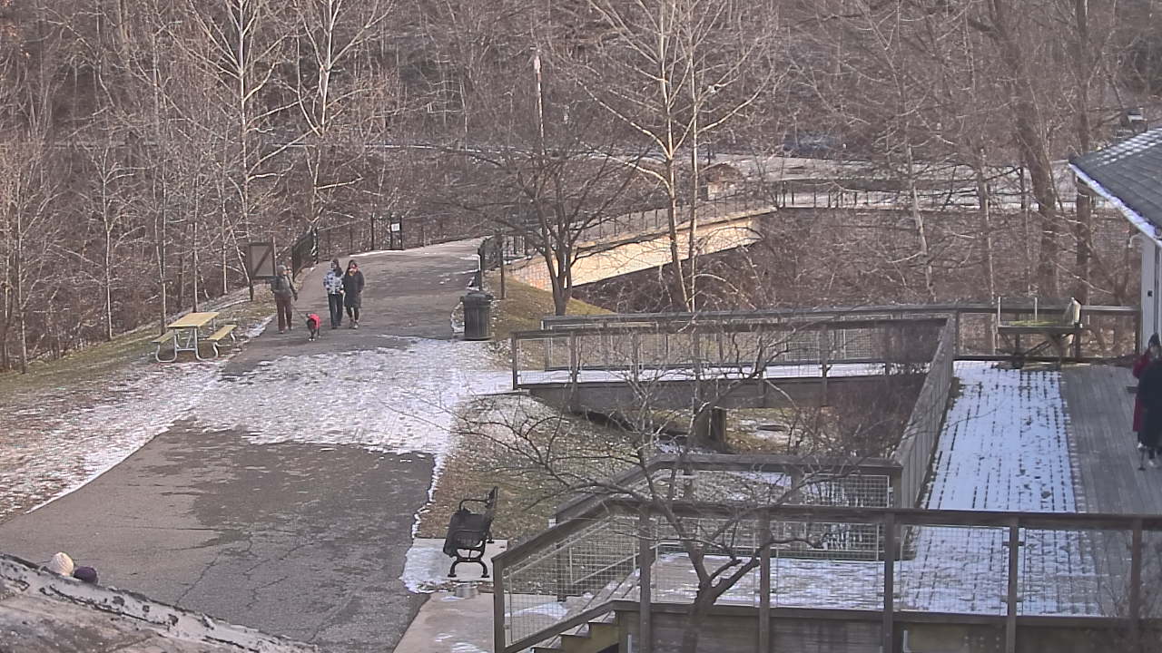 Thumbnail for current weather camera view from Lake Roland Nature Council in Baltimore, Maryland