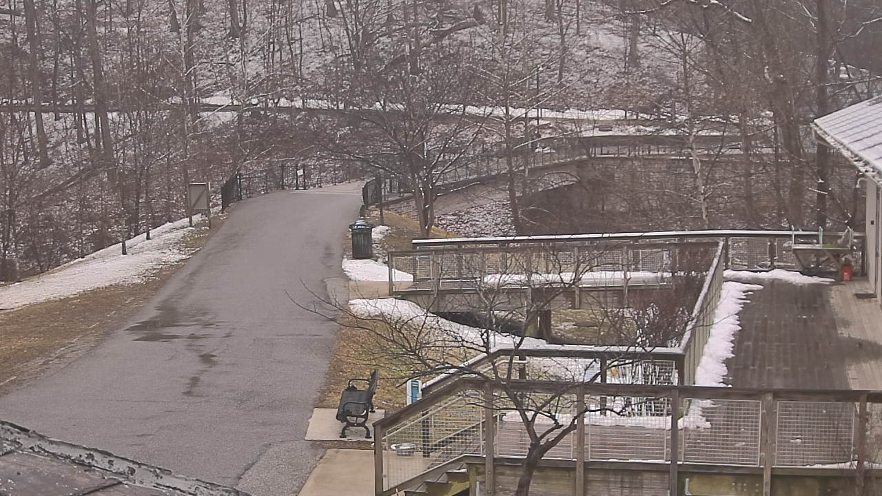 Thumbnail for current weather camera view from Lake Roland Nature Council in Baltimore, Maryland