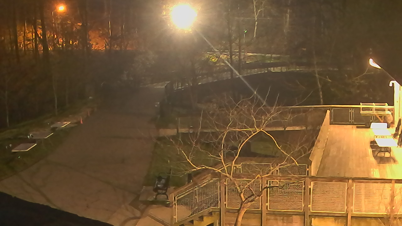 Thumbnail for current weather camera view from Lake Roland Nature Council in Baltimore, Maryland