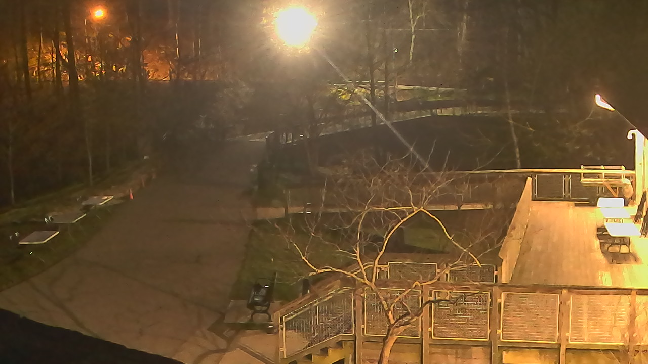 Thumbnail for current weather camera view from Lake Roland Nature Council in Baltimore, Maryland