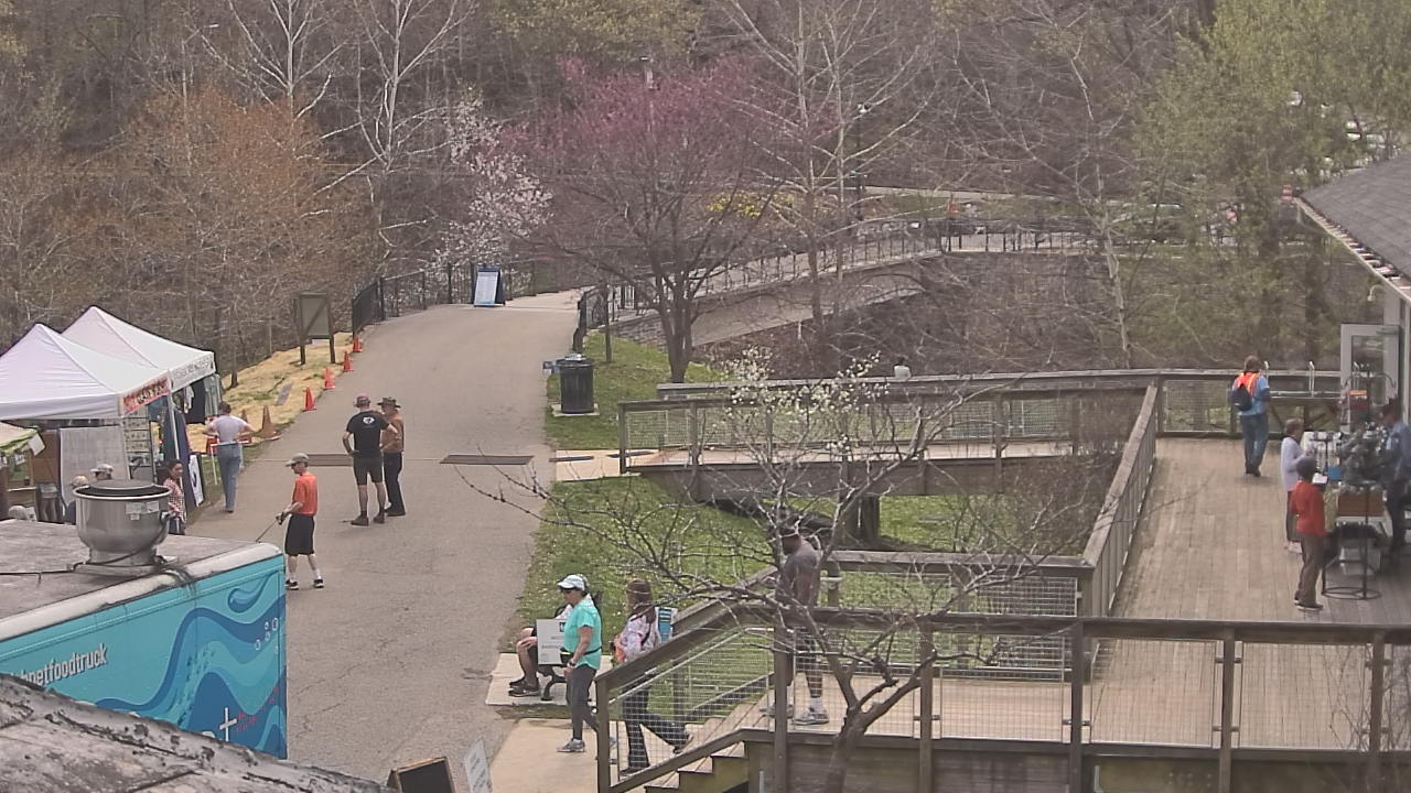 Thumbnail for current weather camera view from Lake Roland Nature Council in Baltimore, Maryland