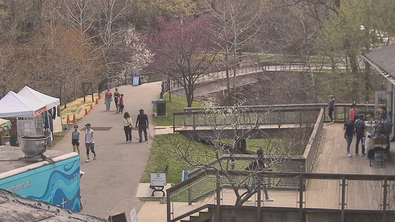 Thumbnail for current weather camera view from Lake Roland Nature Council in Baltimore, Maryland