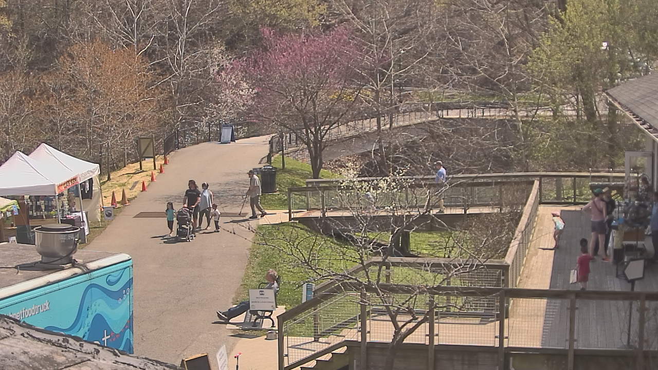 Thumbnail for current weather camera view from Lake Roland Nature Council in Baltimore, Maryland