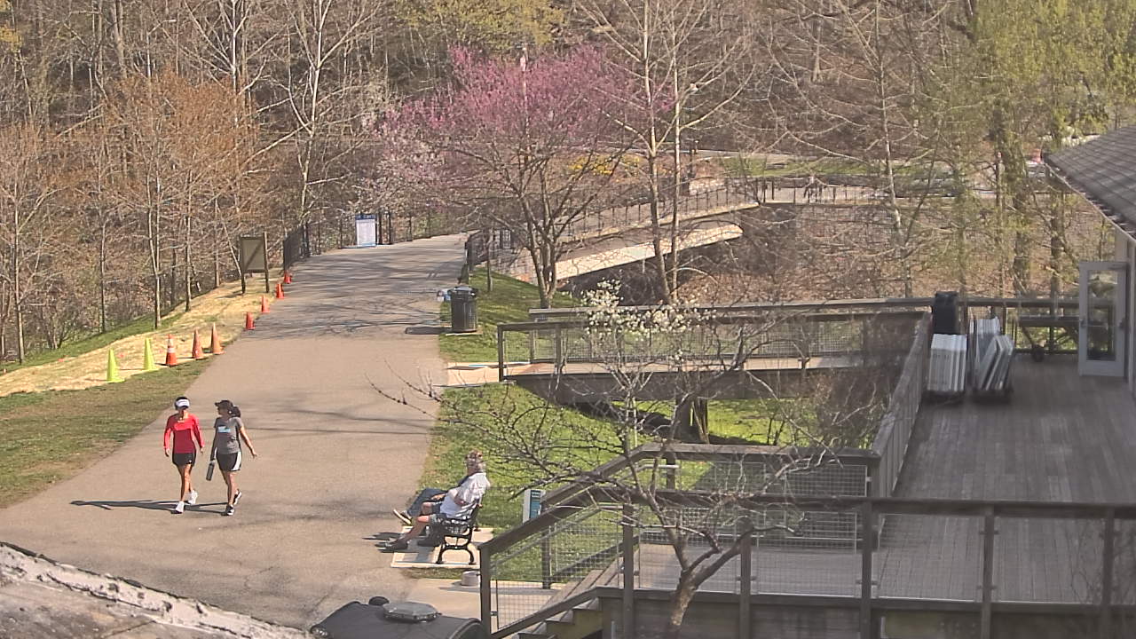 Thumbnail for current weather camera view from Lake Roland Nature Council in Baltimore, Maryland