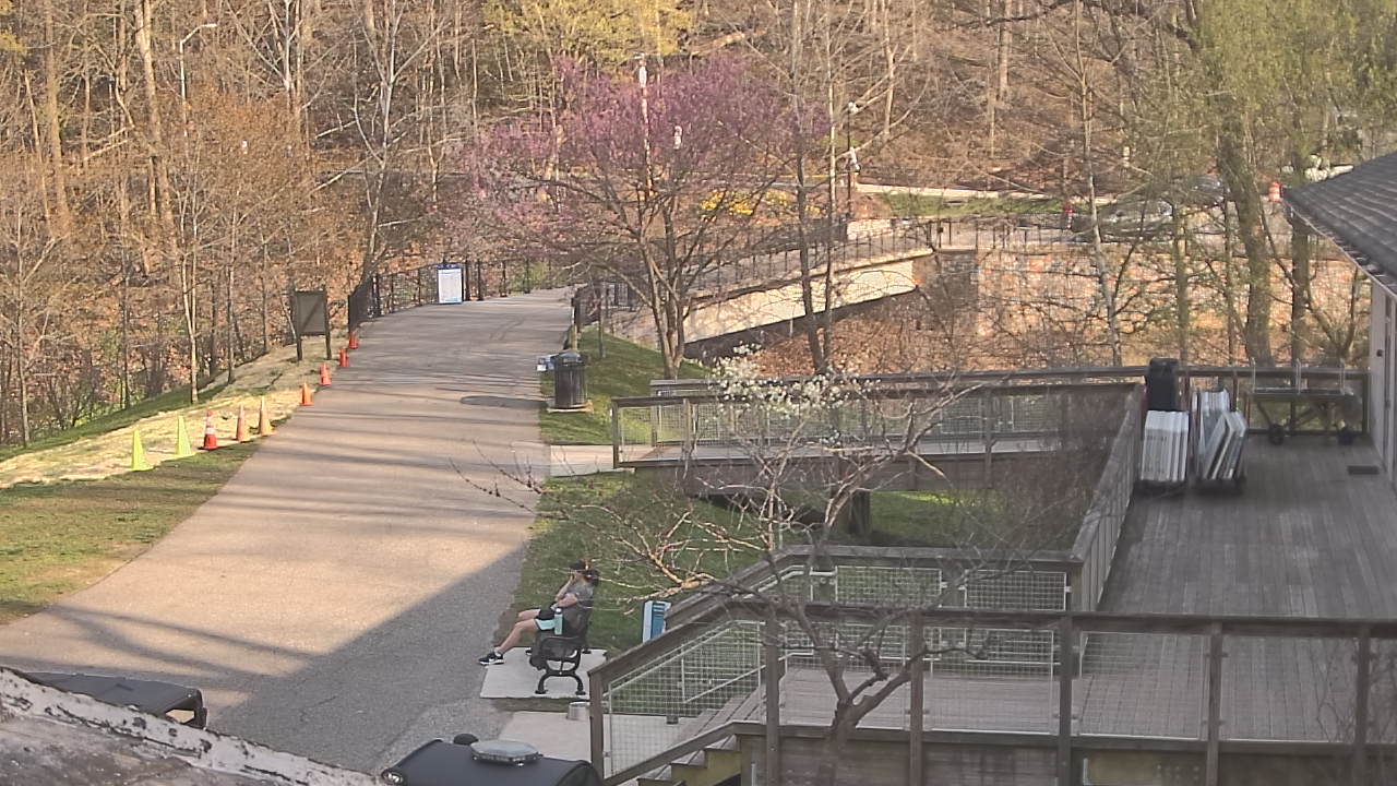 Thumbnail for current weather camera view from Lake Roland Nature Council in Baltimore, Maryland