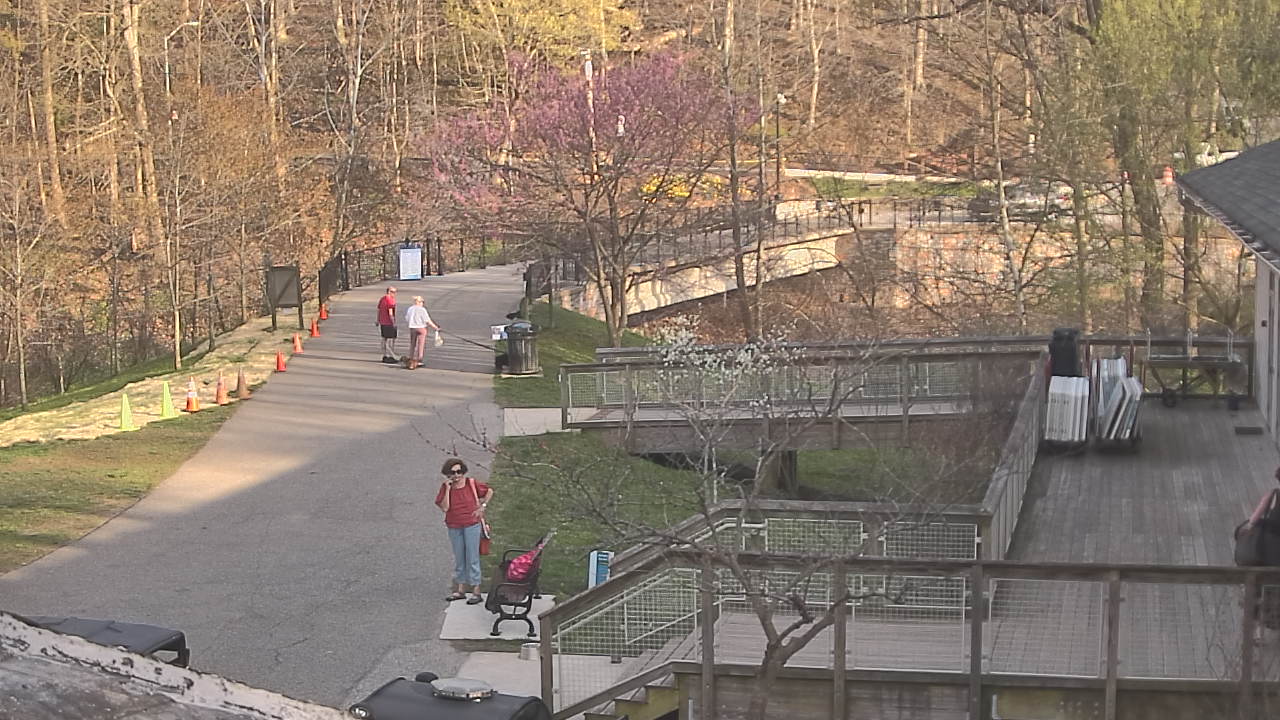 Thumbnail for current weather camera view from Lake Roland Nature Council in Baltimore, Maryland