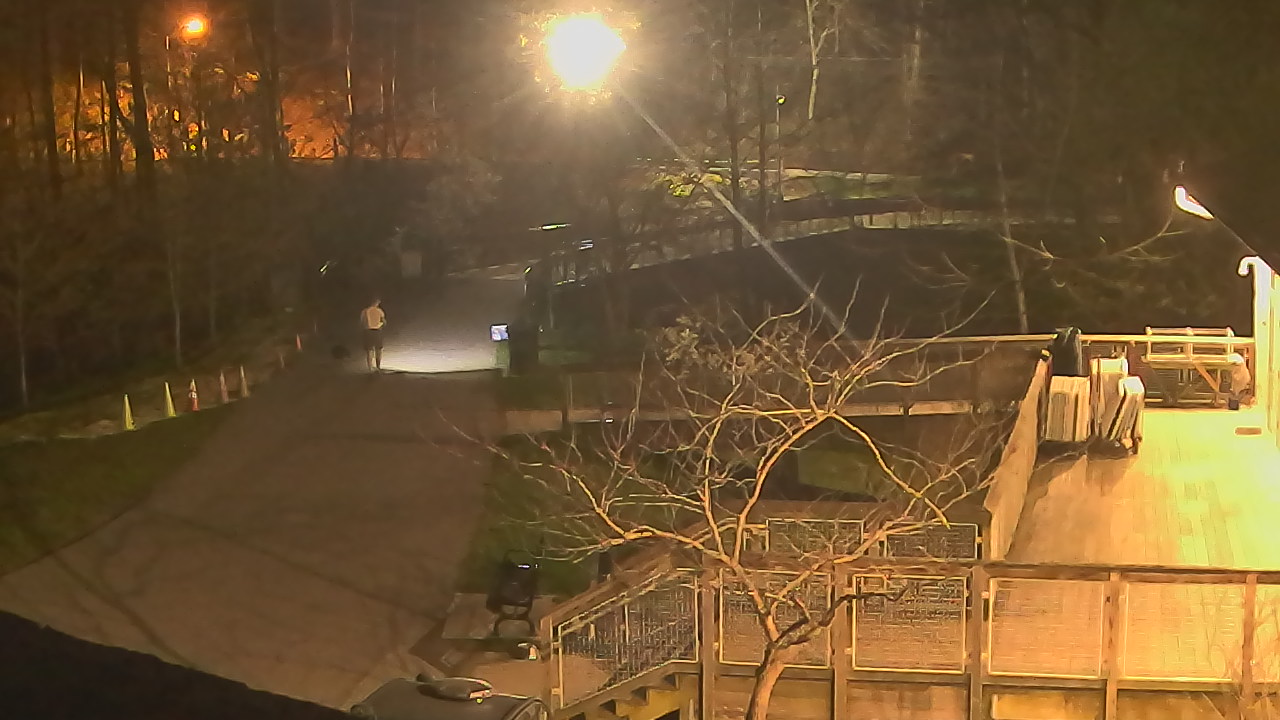 Thumbnail for current weather camera view from Lake Roland Nature Council in Baltimore, Maryland