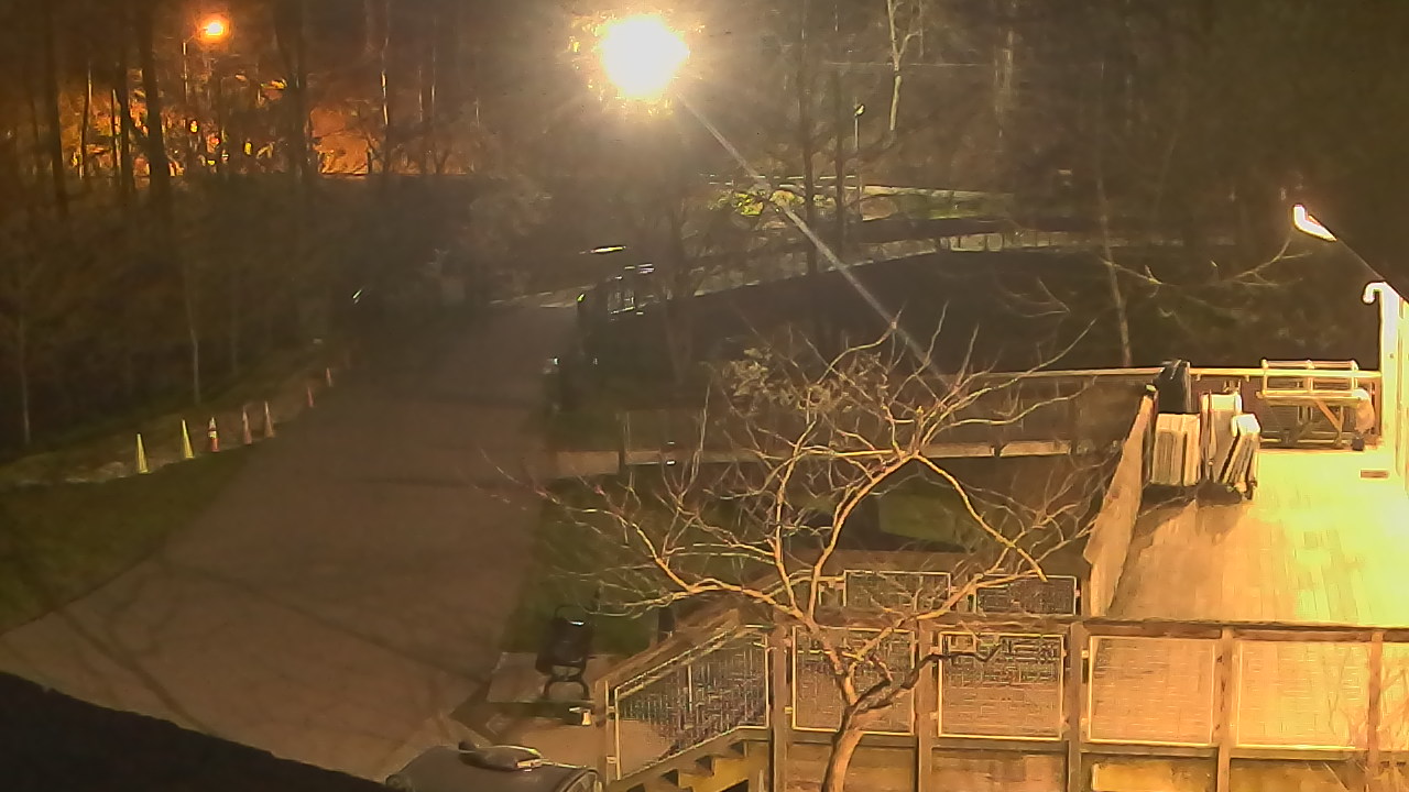 Thumbnail for current weather camera view from Lake Roland Nature Council in Baltimore, Maryland