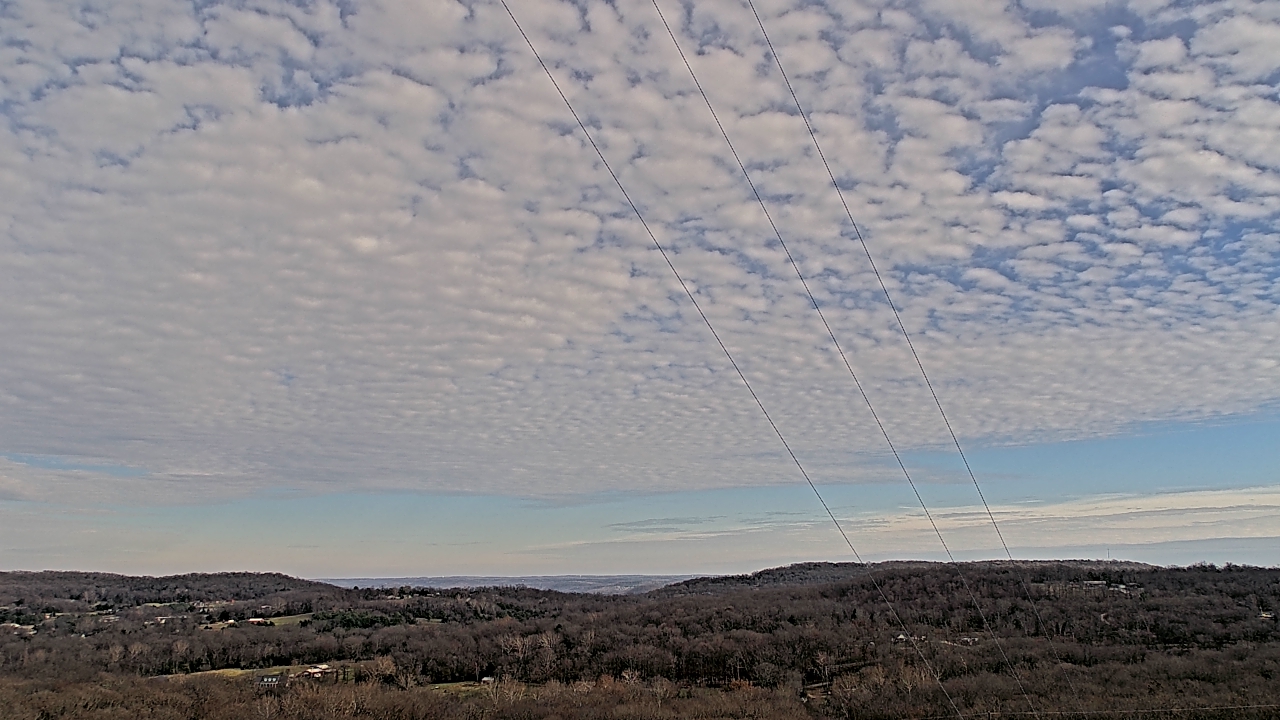 Thumbnail for current weather camera view from Townes 5G LLC in Lewisville, Arkansas