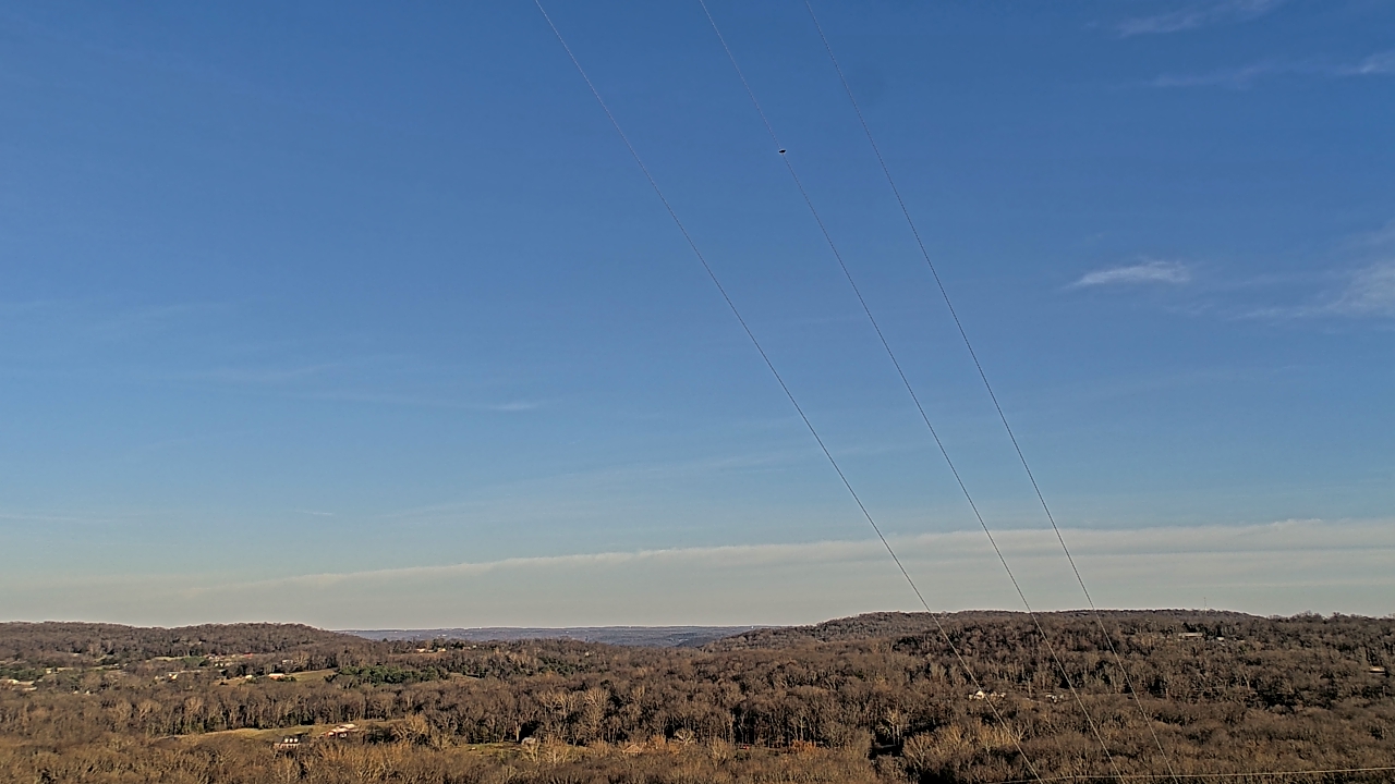 Thumbnail for current weather camera view from Townes 5G LLC in Lewisville, Arkansas