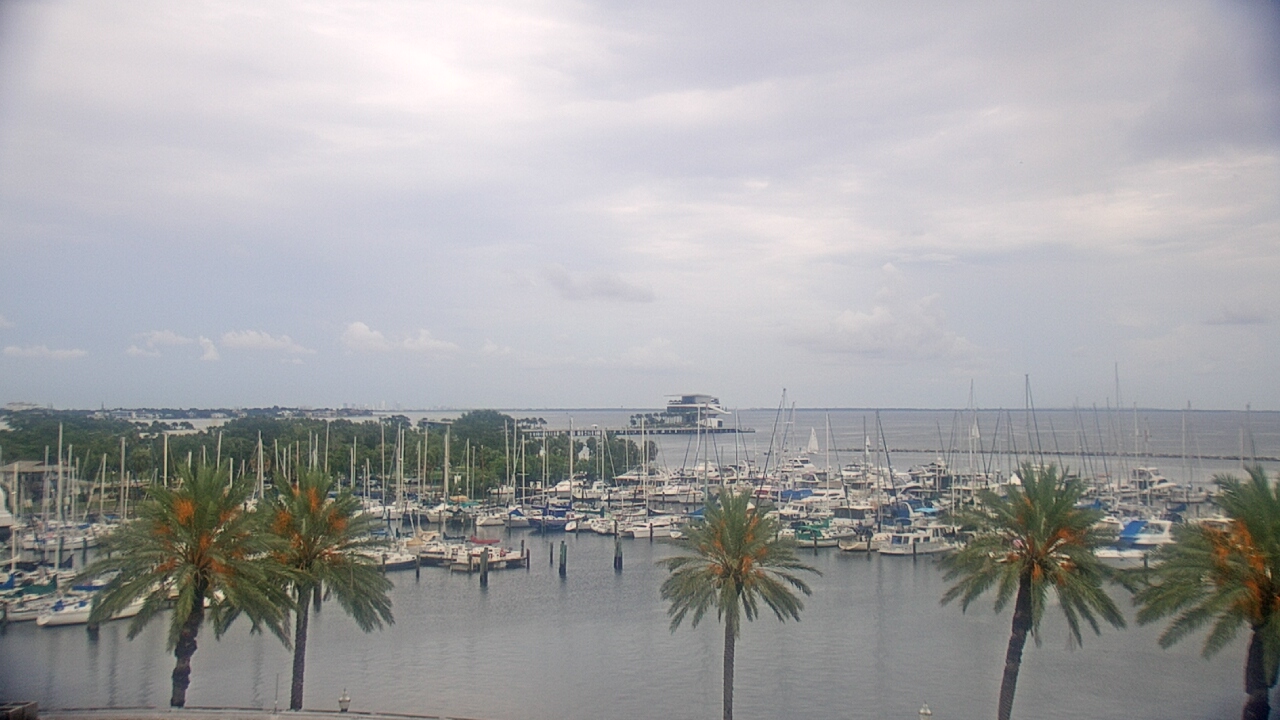 Thumbnail for current weather camera view from Mahaffey Theater in St. Petersburg, Florida