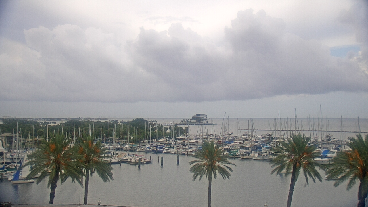 Thumbnail for current weather camera view from Mahaffey Theater in St. Petersburg, Florida