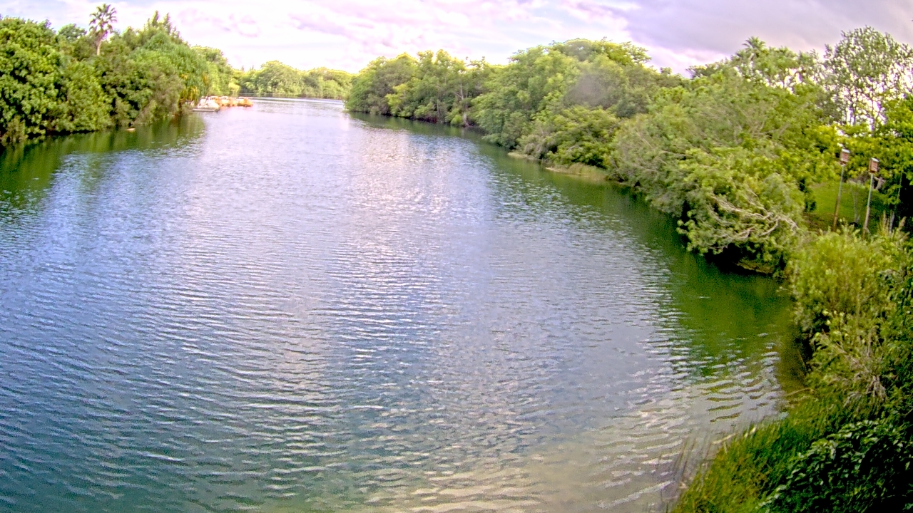 Thumbnail for current weather camera view from Zoo Miami in Miami, Florida