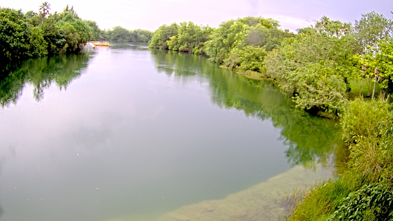 Thumbnail for current weather camera view from Zoo Miami in Miami, Florida