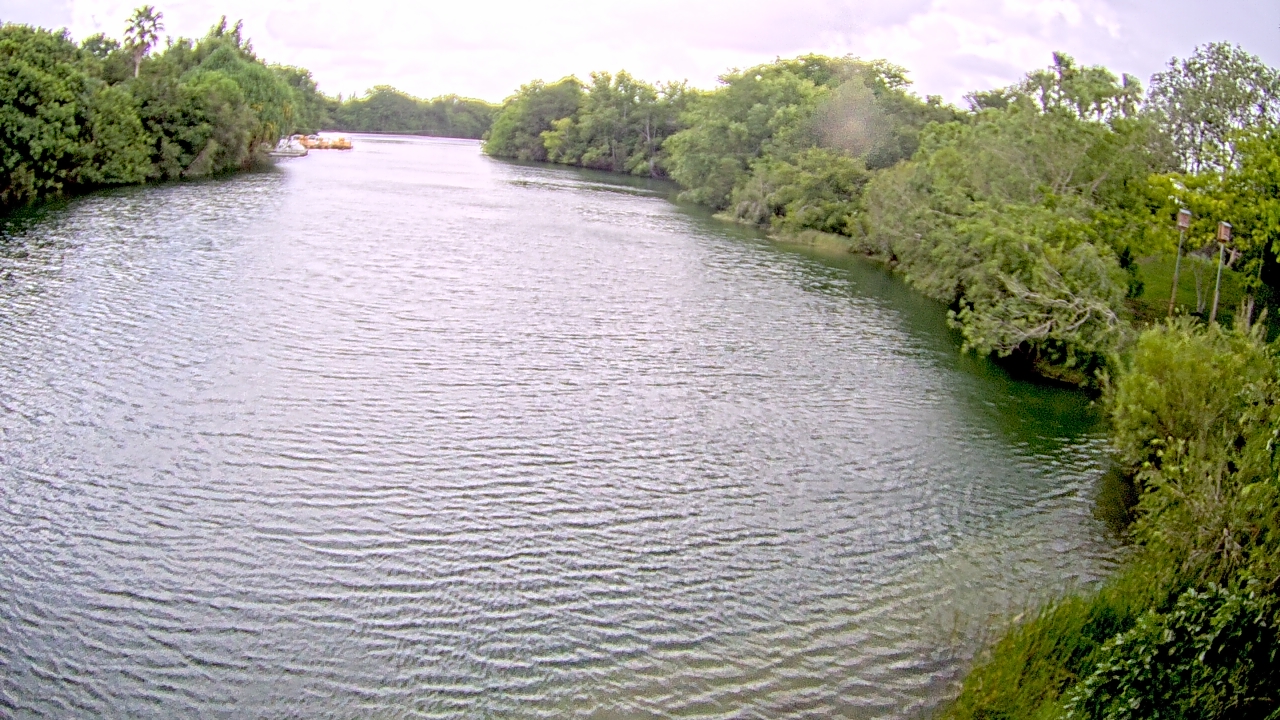 Thumbnail for current weather camera view from Zoo Miami in Miami, Florida