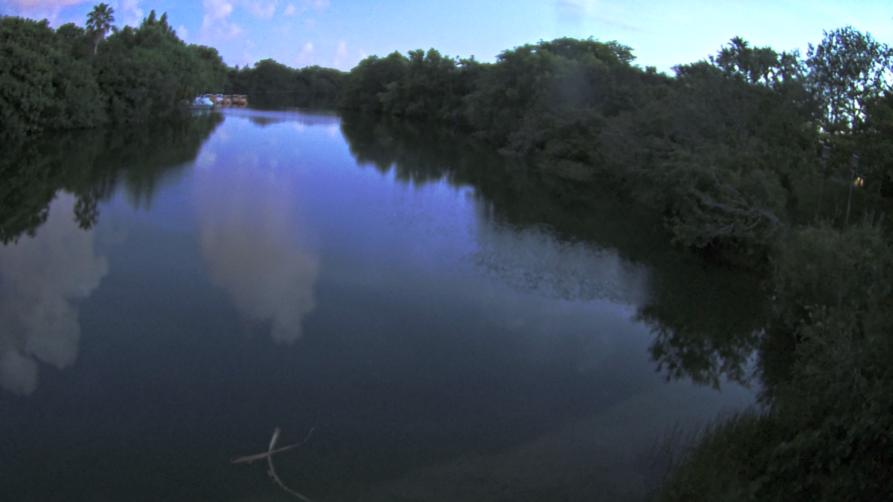 Thumbnail for current weather camera view from Zoo Miami in Miami, Florida