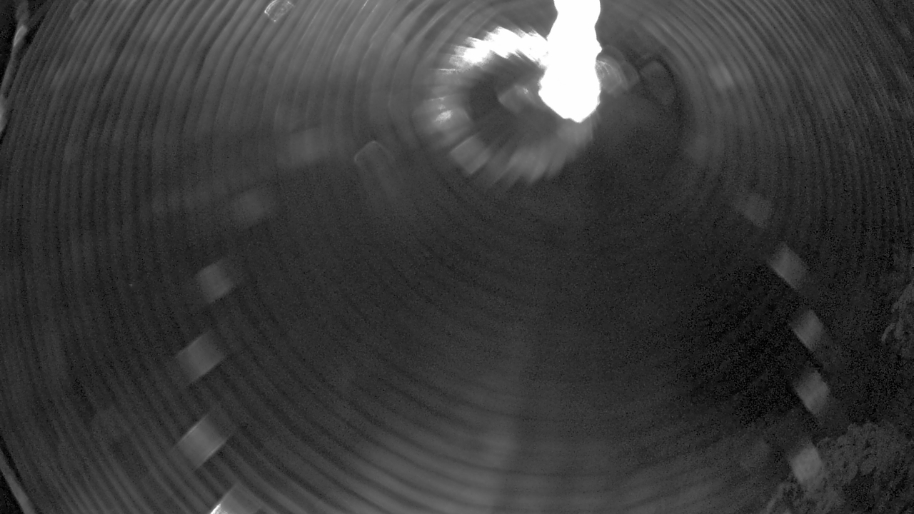 Thumbnail for current weather camera view from Zoo Miami in Miami, Florida