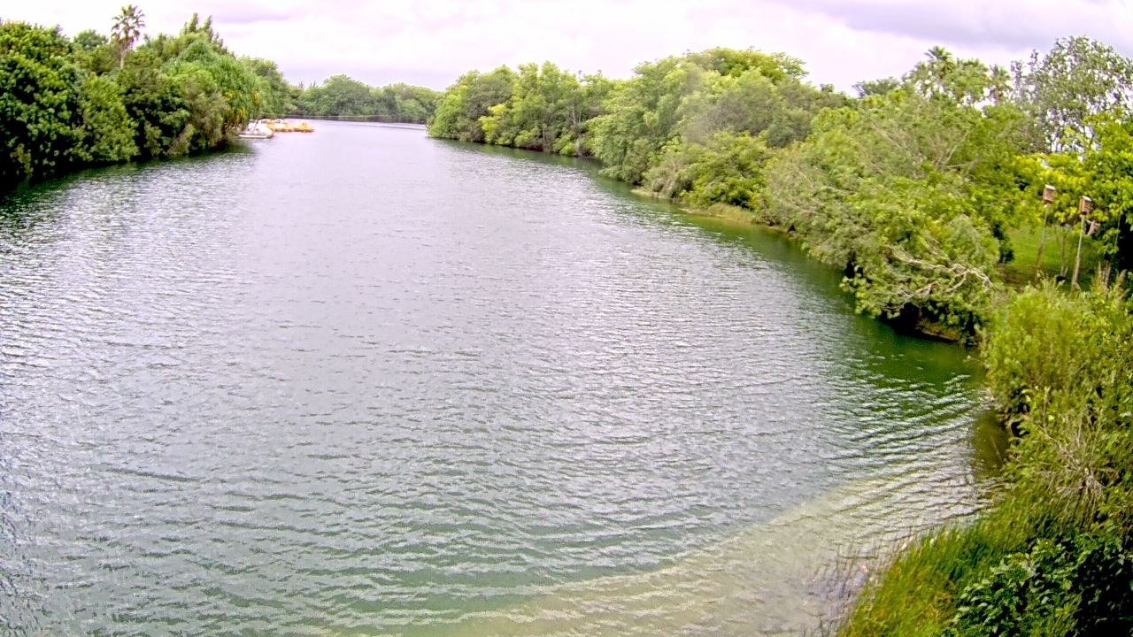 Thumbnail for current weather camera view from Zoo Miami in Miami, Florida