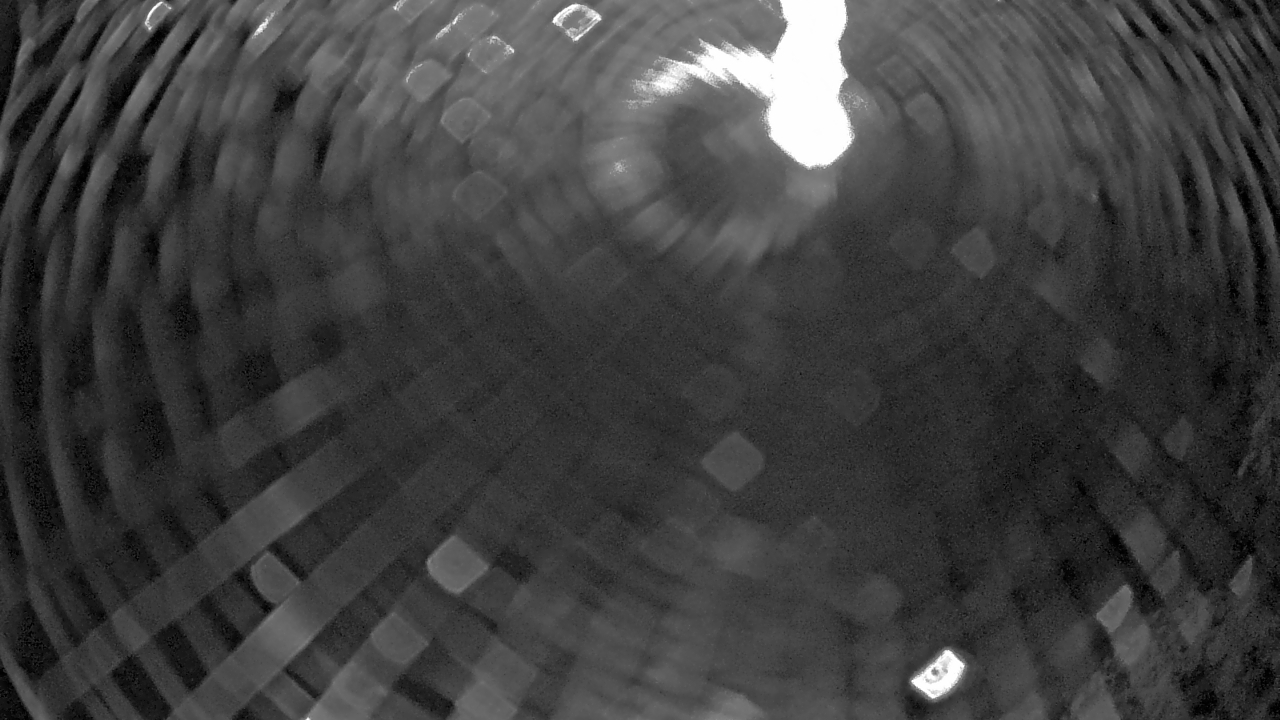 Thumbnail for current weather camera view from Zoo Miami in Miami, Florida