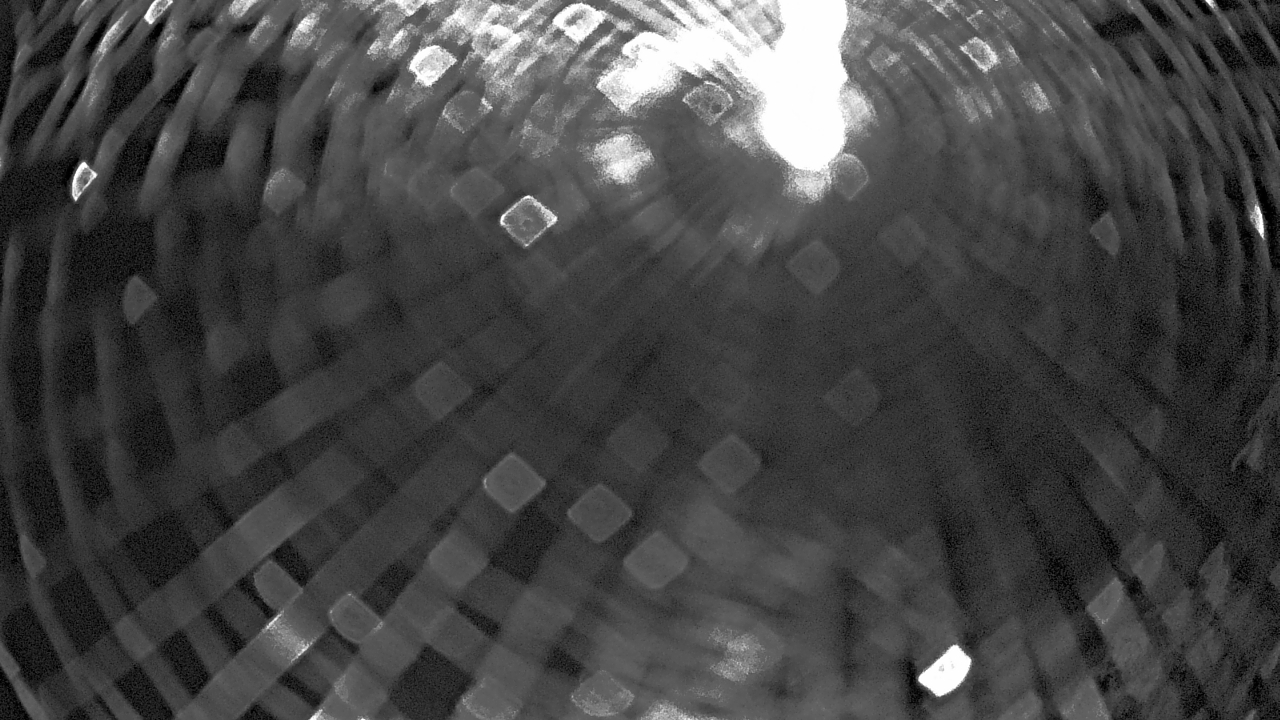 Thumbnail for current weather camera view from Zoo Miami in Miami, Florida