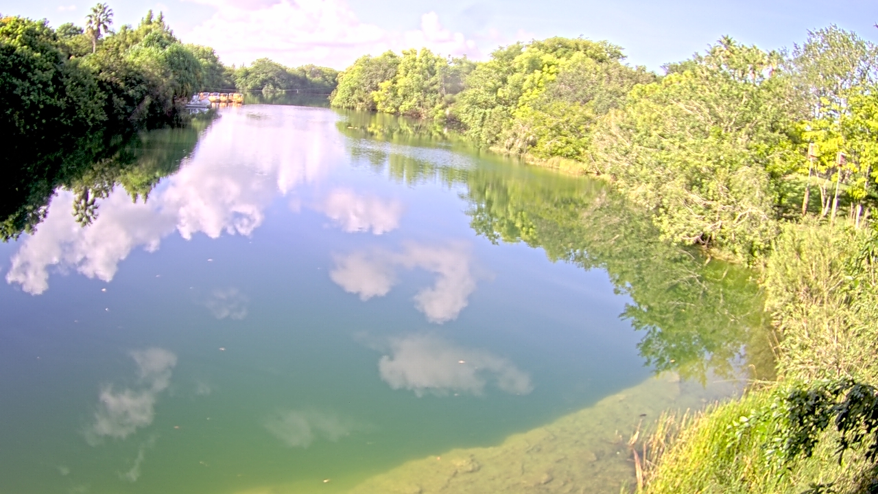 Thumbnail for current weather camera view from Zoo Miami in Miami, Florida