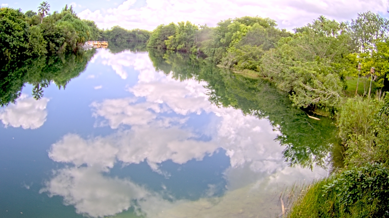 Thumbnail for current weather camera view from Zoo Miami in Miami, Florida