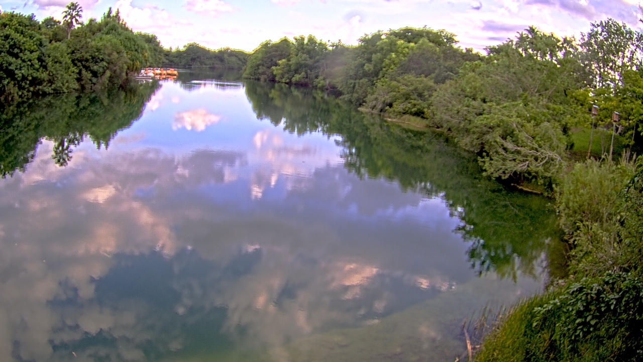Thumbnail for current weather camera view from Zoo Miami in Miami, Florida