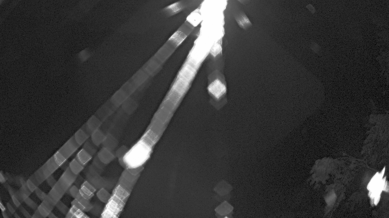 Thumbnail for current weather camera view from Zoo Miami in Miami, Florida