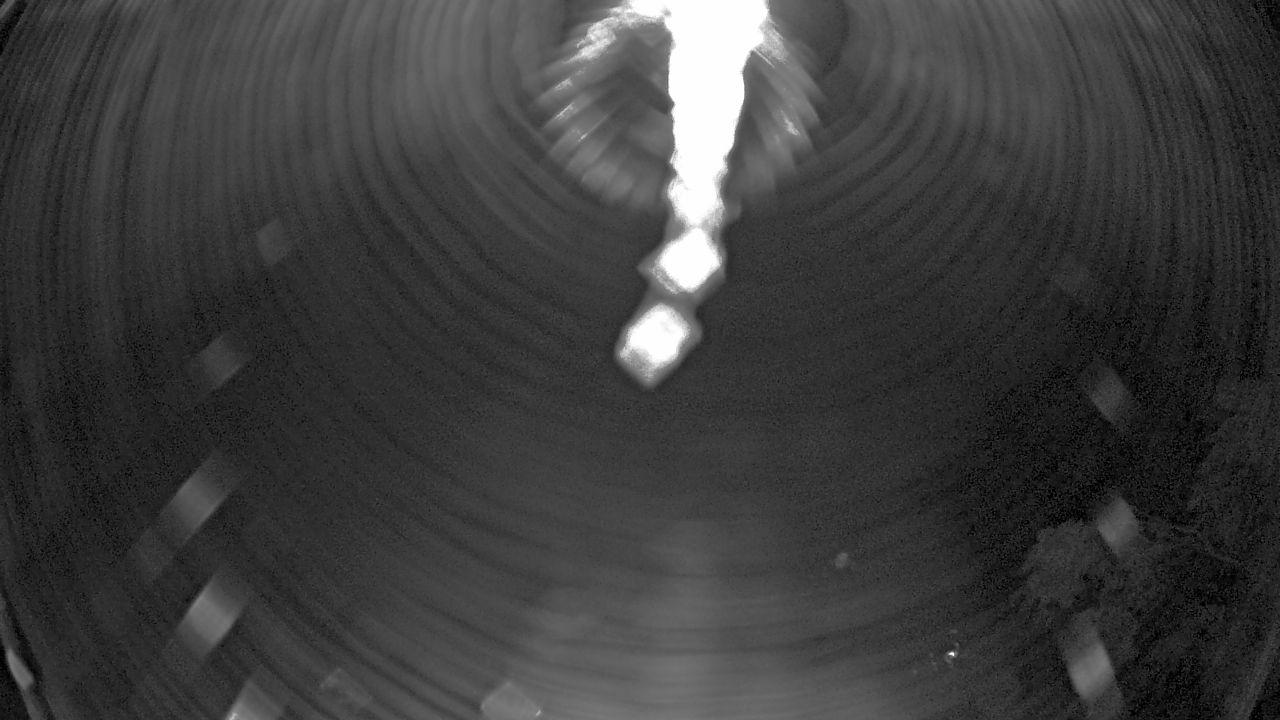 Thumbnail for current weather camera view from Zoo Miami in Miami, Florida