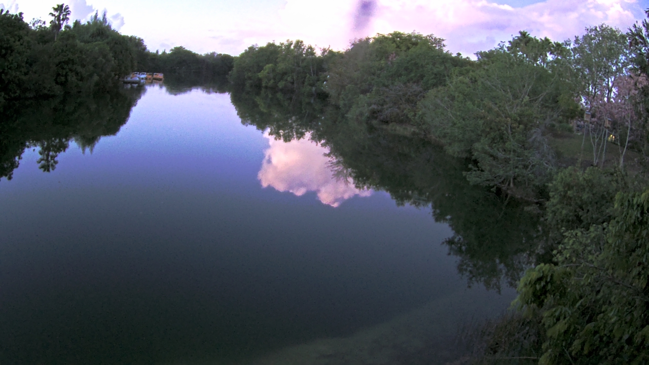 Thumbnail for current weather camera view from Zoo Miami in Miami, Florida