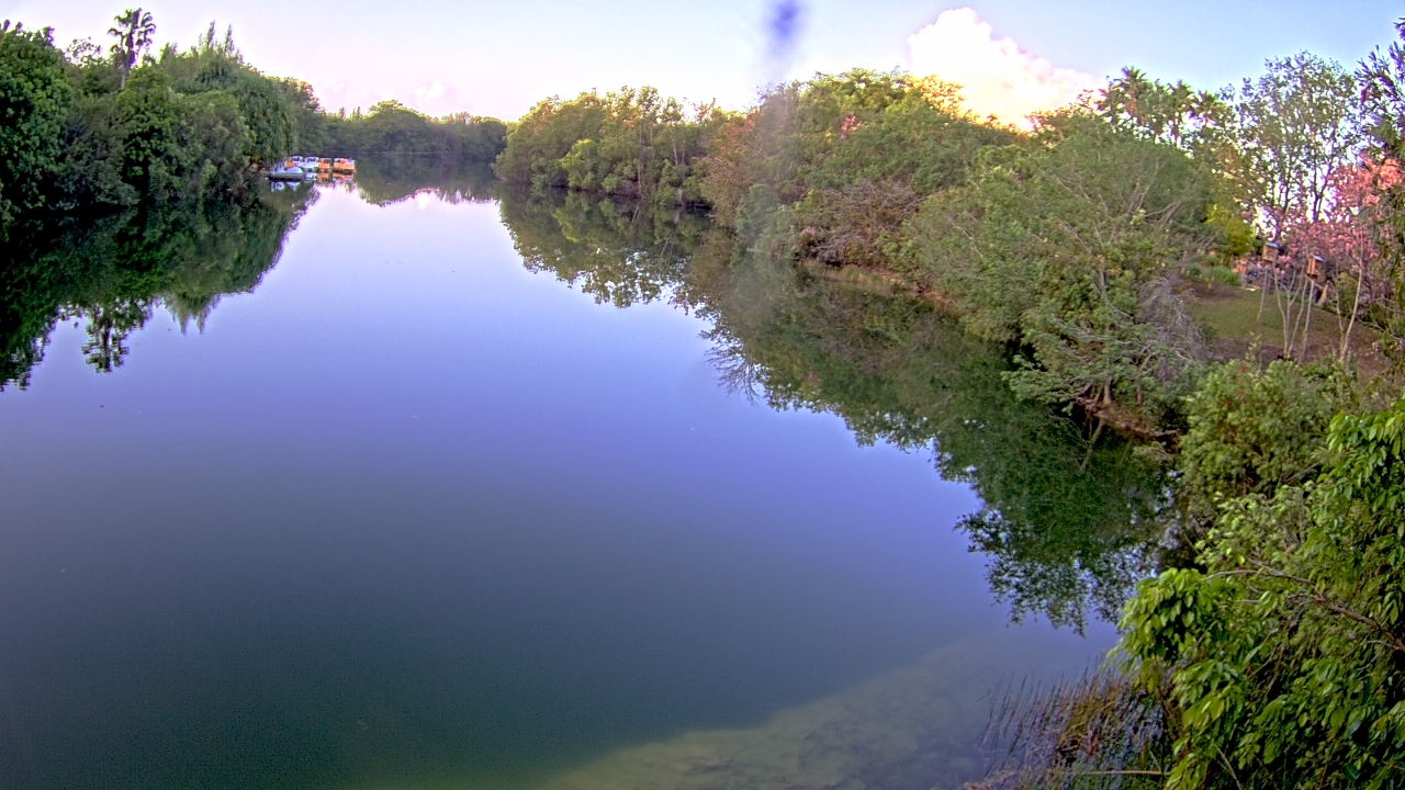 Thumbnail for current weather camera view from Zoo Miami in Miami, Florida