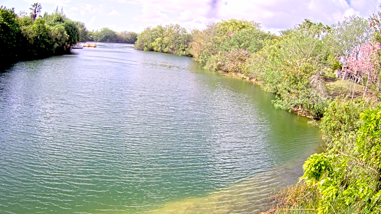 Thumbnail for current weather camera view from Zoo Miami in Miami, Florida