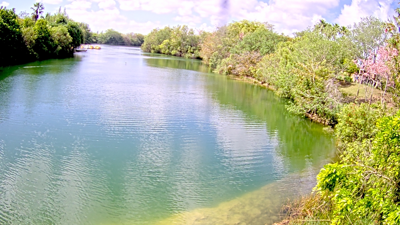 Thumbnail for current weather camera view from Zoo Miami in Miami, Florida